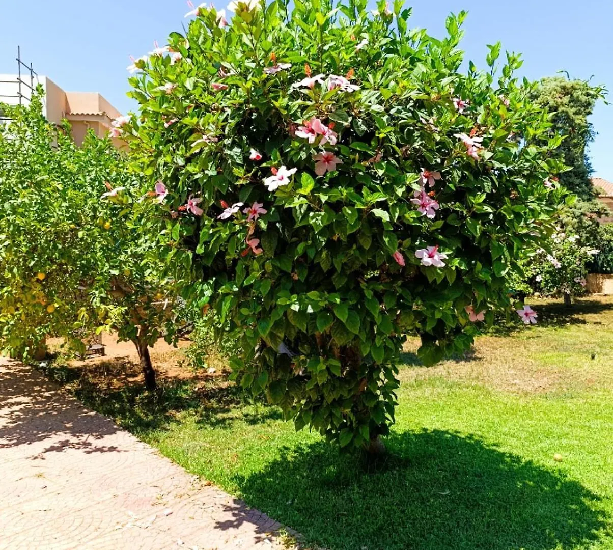 Garden House Mondello Palermo Villa 0*,